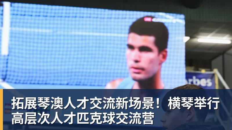 拓展琴澳人才交流新场景！横琴举行高层次人才匹克球交流营